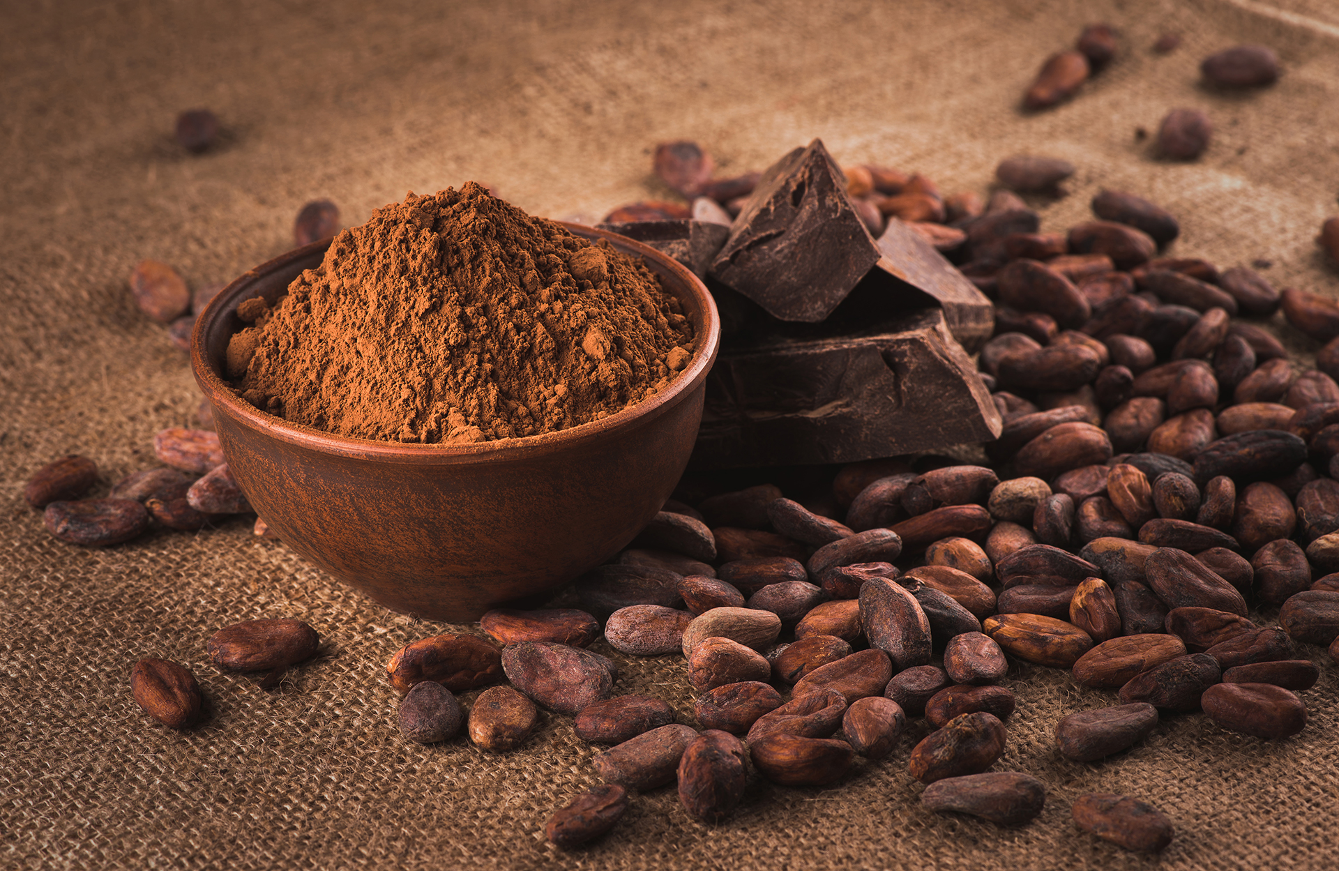 Poudre de cacao dans un bol et fèves de cacao.